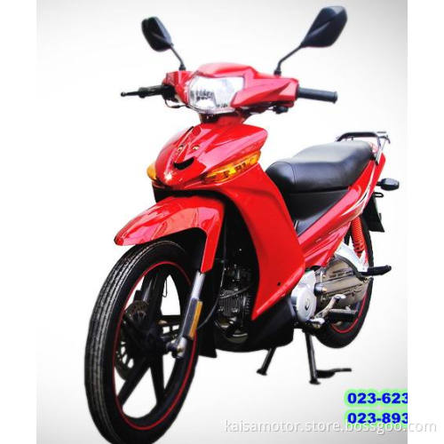 110CC Cub Motorcycle (KS110-10A)